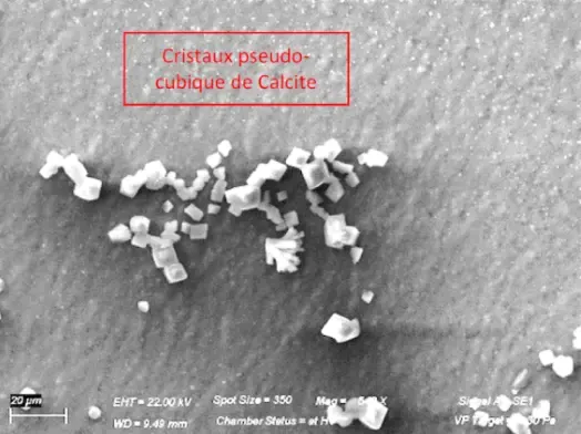 Eau non traitée au microscope électronique : cristaux cubiques de calcite